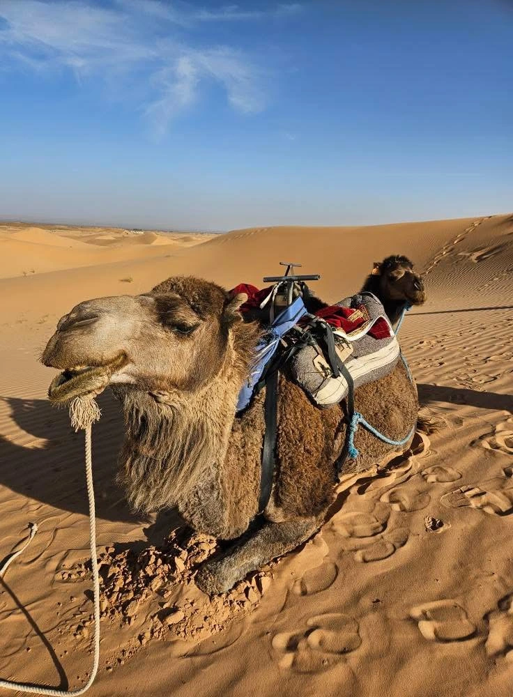 Excursion Fès Merzouga