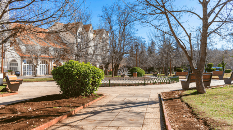 Excursion depuis Fès à Ifran - Circuits de voyages au Maroc