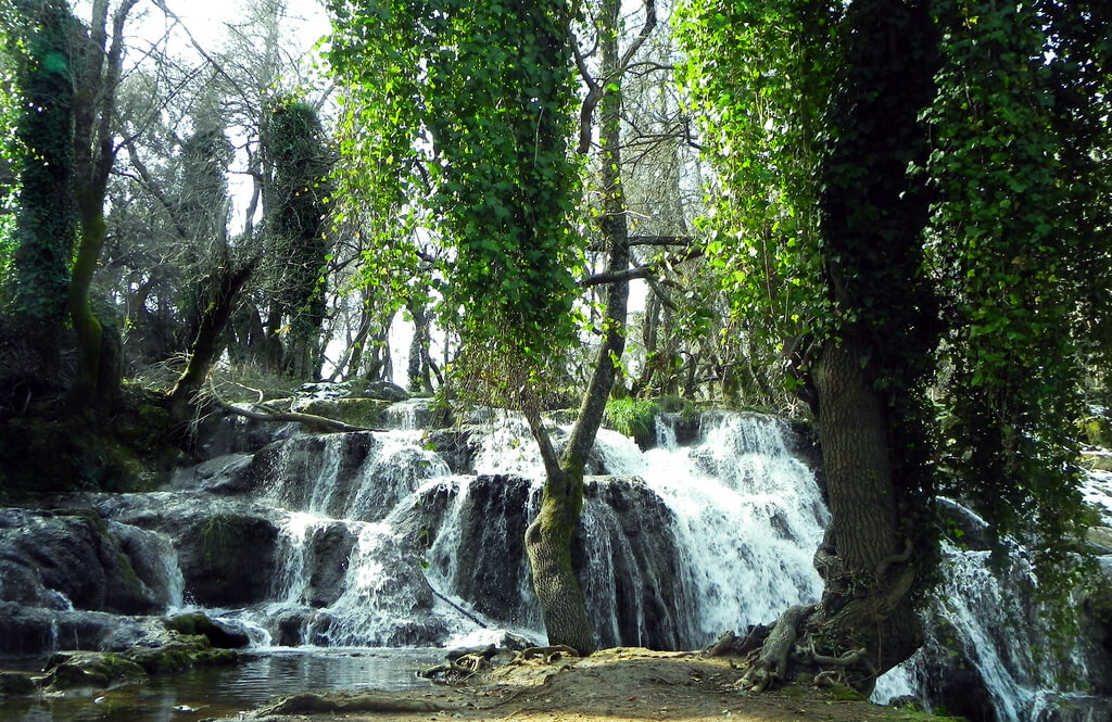 Excursion depuis Fès à Ifran - Circuits de voyages au Maroc