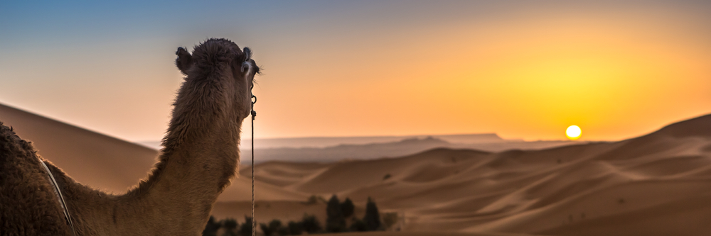 Excursion Fès Maroc Sahara desert Marrakech