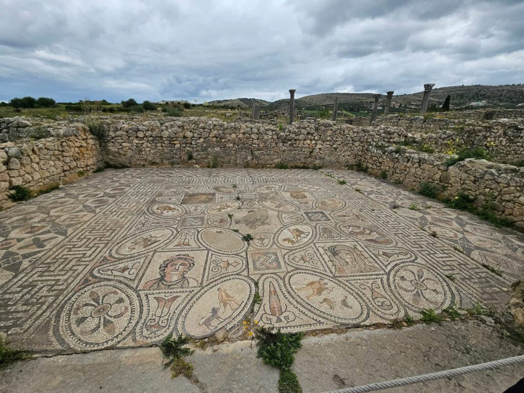 Excursion Fes volubilis Meknes
