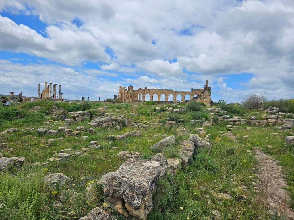 Excursion Fes volubilis Meknes